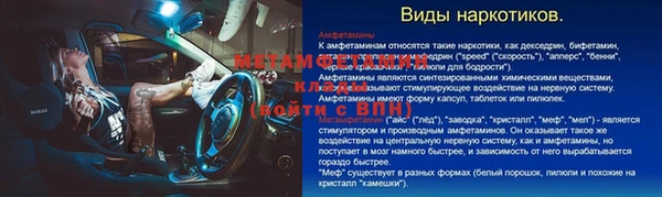 прущие грибы Зеленодольск