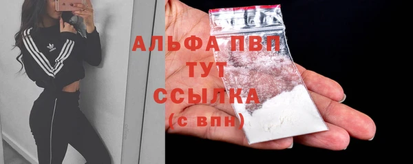 прущие грибы Зеленодольск