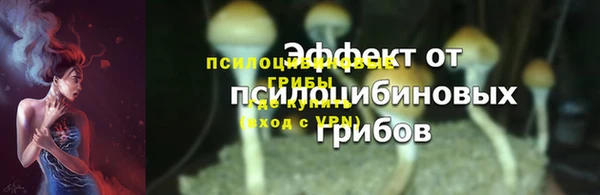 ПСИЛОЦИБИНОВЫЕ ГРИБЫ Зеленокумск