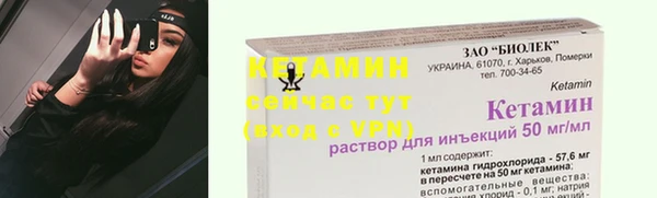 прущие грибы Зеленодольск