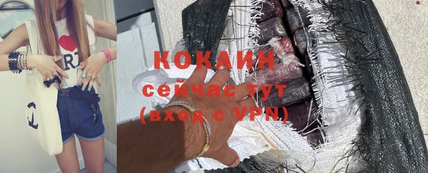 крисы Инта