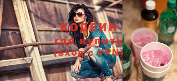 крисы Инта