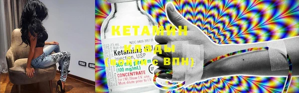 крисы Инта