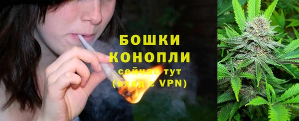 крисы Инта