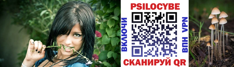 магазин продажи   Кисловодск  shop какой сайт  Галлюциногенные грибы мицелий 