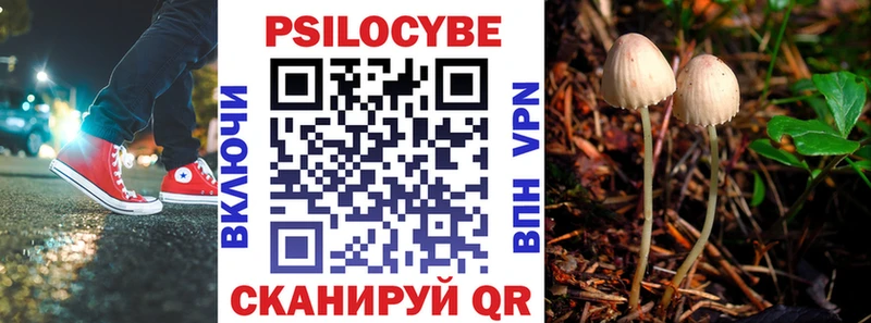 Псилоцибиновые грибы ЛСД Кисловодск